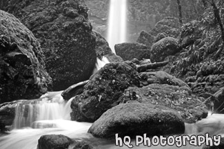 Elowah Falls black and white picture