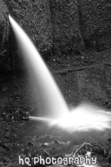 Ponytail Falls black and white picture