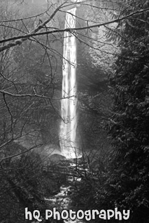 Latourell Falls, Bridge & Trees black and white picture