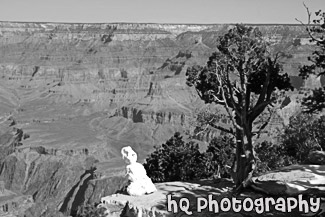 Snowman Looking at Grand Canyon black and white picture