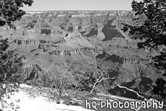 Grand Canyon Rim & Snow black and white picture