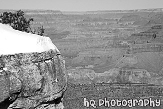 Grand Canyon & Snow at the South Rim black and white picture