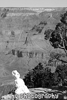 Snowman & Grand Canyon black and white picture