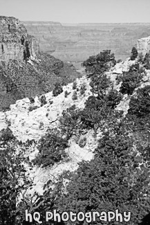 Grand Canyon National Park at South Rim black and white picture