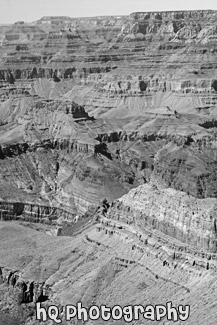 Grand Canyon From Desert View black and white picture