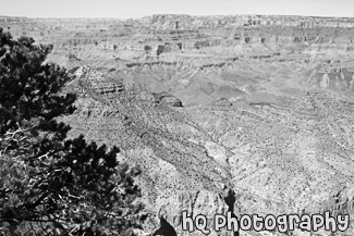 Grand Canyon & Desert View at South Rim black and white picture