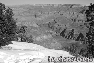 Snow Along South Rim & Canyon View black and white picture