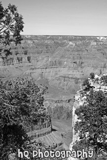 Maricopa Point Grand Canyon View black and white picture