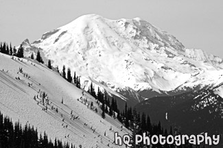 Mt. Rainier From Crystal Mountain black and white picture