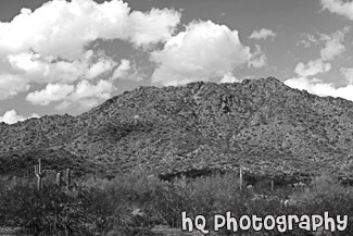 Arizona Landscape at San Tan Mountain black and white picture