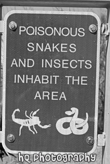 Poisonous Snakes & Insects Sign black and white picture