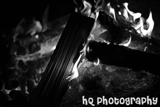 Campfire black and white picture