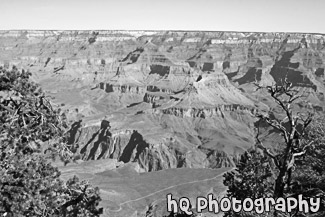 Grand Canyon View black and white picture