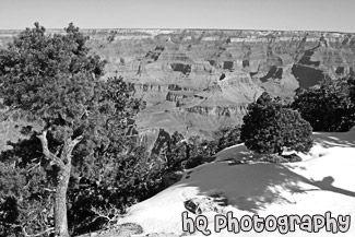 Grand Canyon Snow and View black and white picture