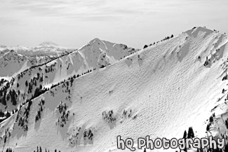 Crystal Moutntain View of Mt. Adams black and white picture