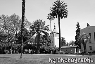 Mission Gardens & Mission Church black and white picture