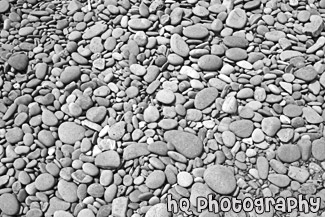 Small Beach Rocks black and white picture