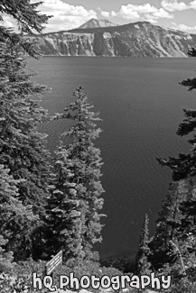 Crater Lake Through Trees black and white picture