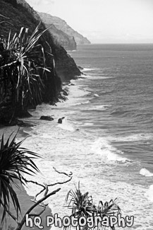 Na Pali Coast, Kauai black and white picture