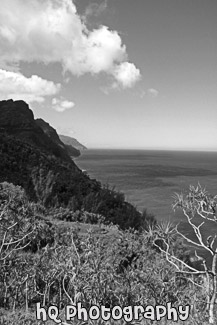 Na Pali Coast From Kalalau Trail black and white picture