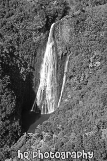 Jurassic Falls, Kauai black and white picture