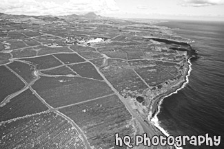 Kauai Aerial View black and white picture