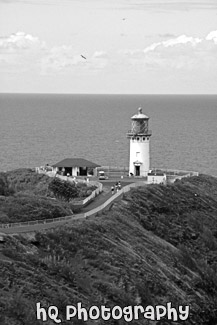 Kilauea Lighthouse black and white picture