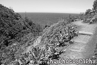 Kalalau Trail on Na Pali Coast black and white picture