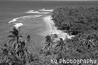 Ha'ena Beach View on Kalalua Trail black and white picture