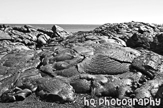 Lava Fields & Ocean black and white picture