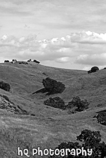 Green Hill & Scenic Sky Scene black and white picture