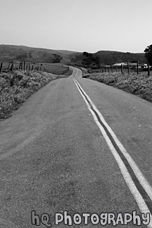 Marin County Farm Road black and white picture