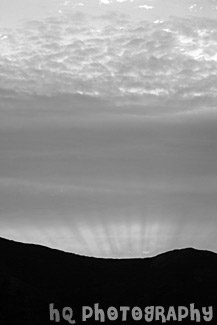 San Francisco Sunset black and white picture