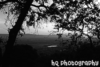 East San Jose Hill Sunset black and white picture