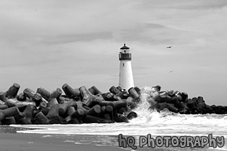 Santa Cruz Lighthouse (Walton) black and white picture