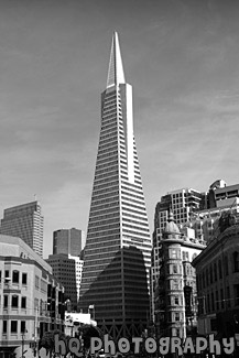 Transamerica Pyramid black and white picture