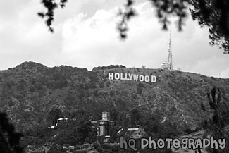 Hollywood Sign on Hill black and white picture