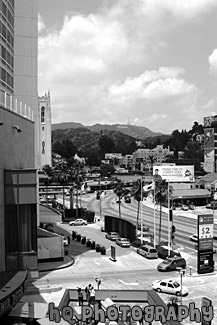 Hollywood View from Babylon Court black and white picture