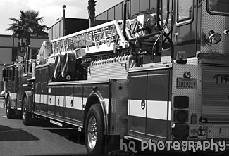 Beverly Hills Fire Truck black and white picture