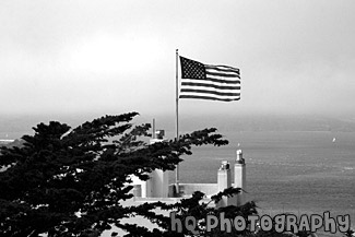 Flag in Color black and white picture