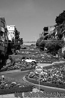 Lombard Street, San Francisco black and white picture