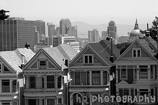 Famous Alamo Square in San Francisco black and white picture