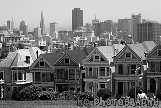 Alamo Square & San Francisco City View black and white picture