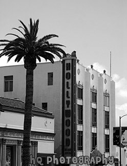 Hollywood History Museum, Highland Ave. black and white picture