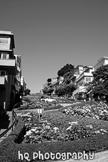 San Francisco's Lombard Street black and white picture