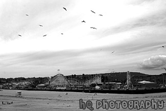 Santa Cruz Boardwalk from Beach black and white picture