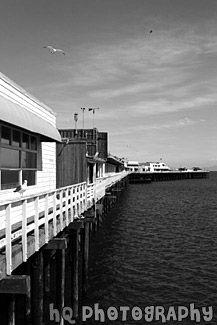 Santa Cruz Pier black and white picture