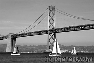 Bay Bridge, San Francisco & Sail Boats black and white picture