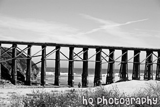 Coastal Fort Bragg, California black and white picture