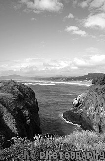 Oregon Coastal Scene black and white picture